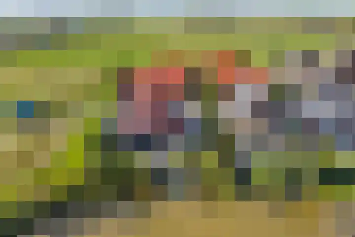 De Tille 18 Arum thumbnail 5