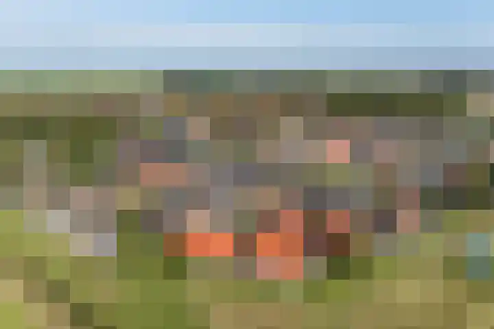 De Tille 18 Arum thumbnail 50