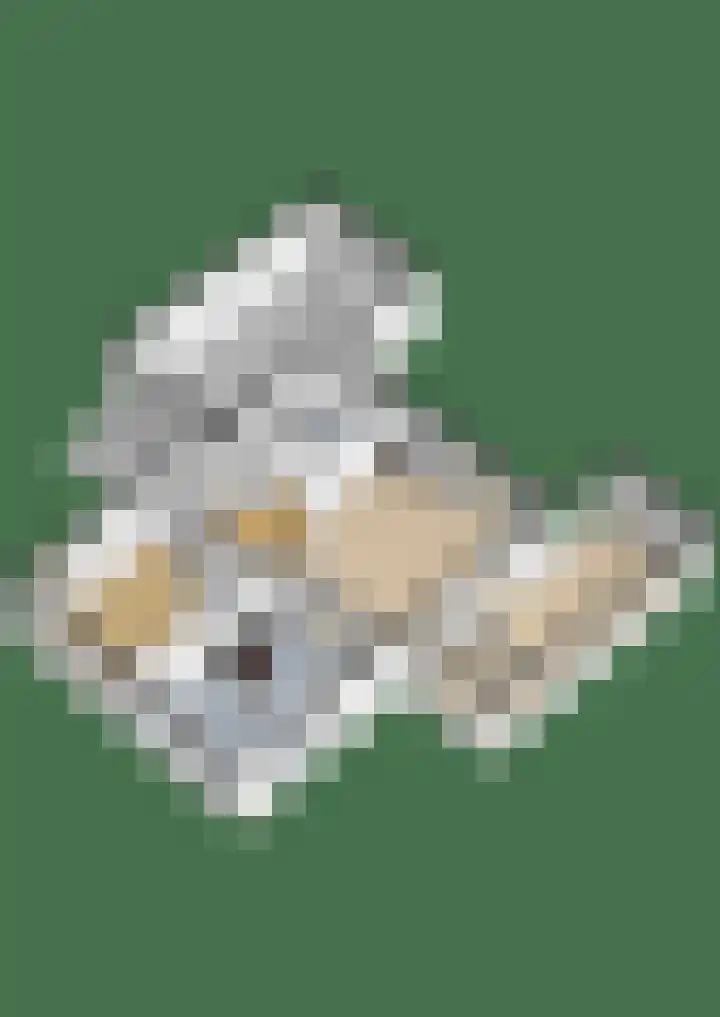 De Tille 18 Arum thumbnail 54
