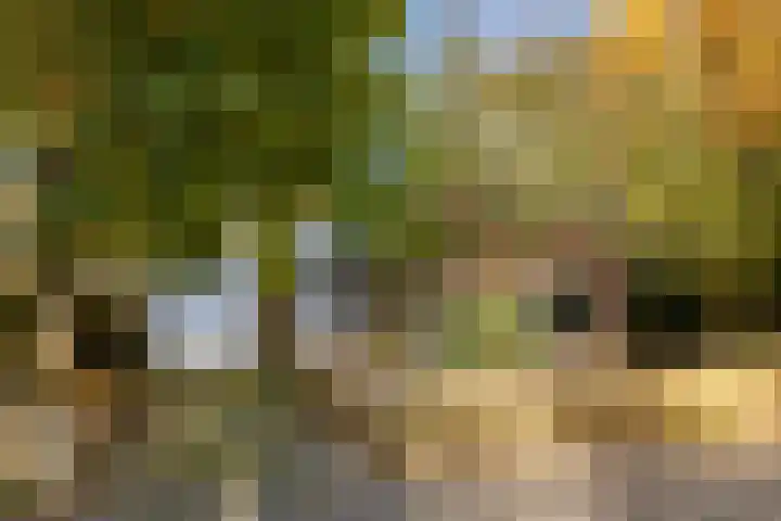De Tille 2 Gytsjerk thumbnail 10