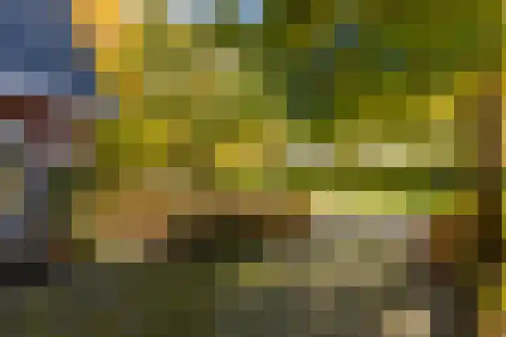 De Tille 2 Gytsjerk thumbnail 13