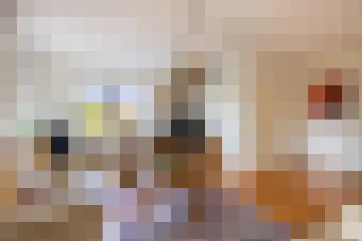 De Tille 2 Gytsjerk thumbnail 21