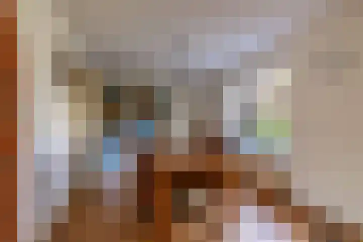 De Tille 2 Gytsjerk thumbnail 26