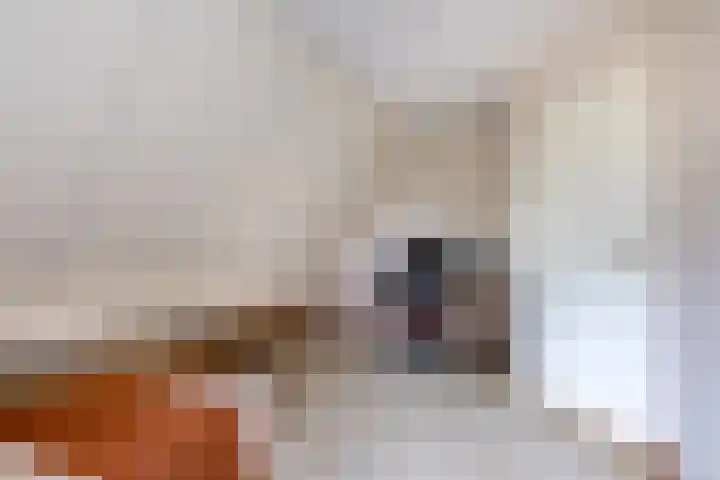 De Tille 2 Gytsjerk thumbnail 39