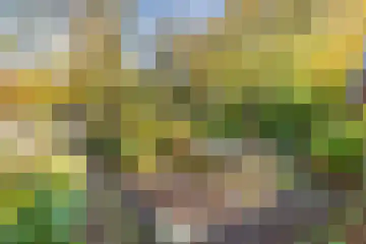 De Tille 2 Gytsjerk thumbnail 44