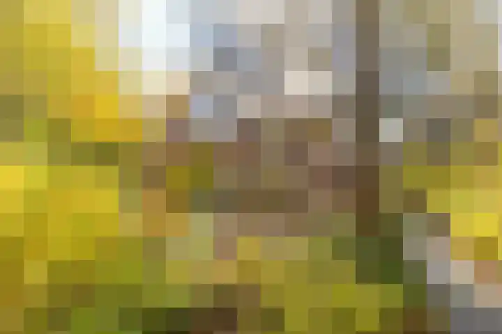 De Tille 2 Gytsjerk thumbnail 45