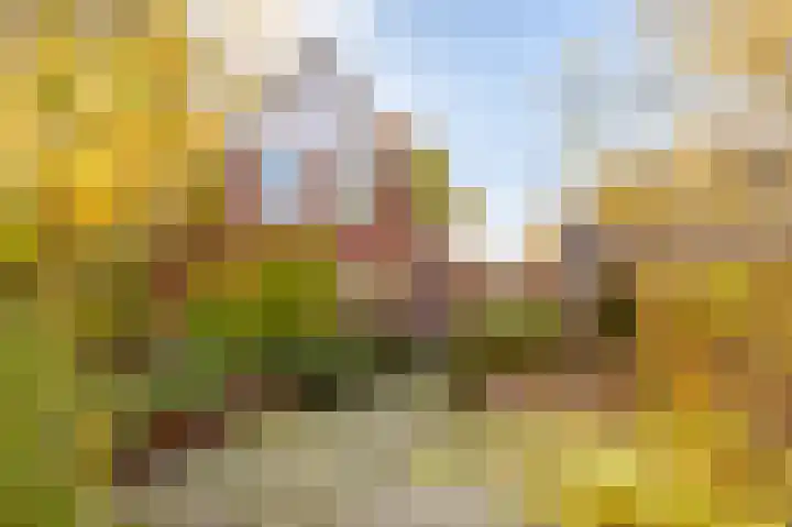 De Tille 2 Gytsjerk thumbnail 46