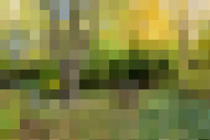 De Tille 2 Gytsjerk thumbnail 47