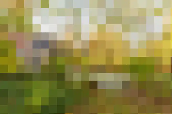 De Tille 2 Gytsjerk thumbnail 48