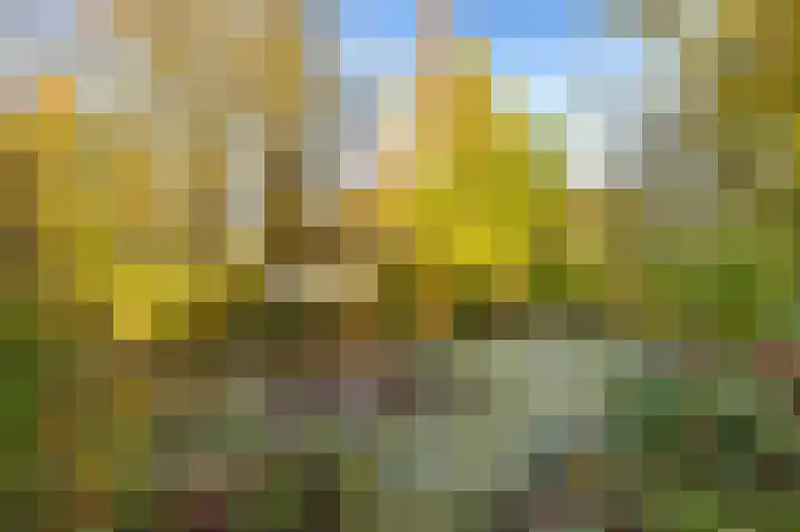 De Tille 2 Gytsjerk thumbnail 49