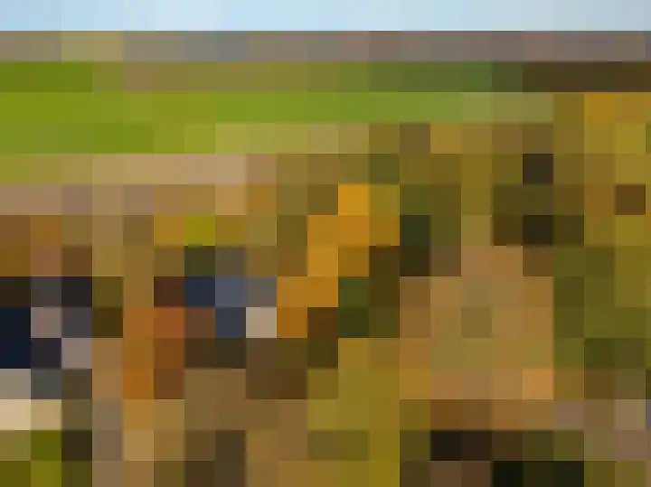 De Tille 2 Gytsjerk thumbnail 6