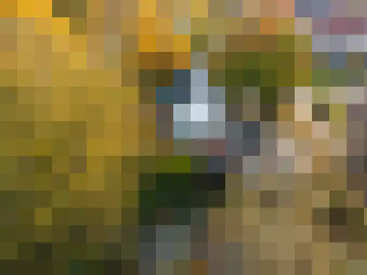 De Tille 2 Gytsjerk thumbnail 8