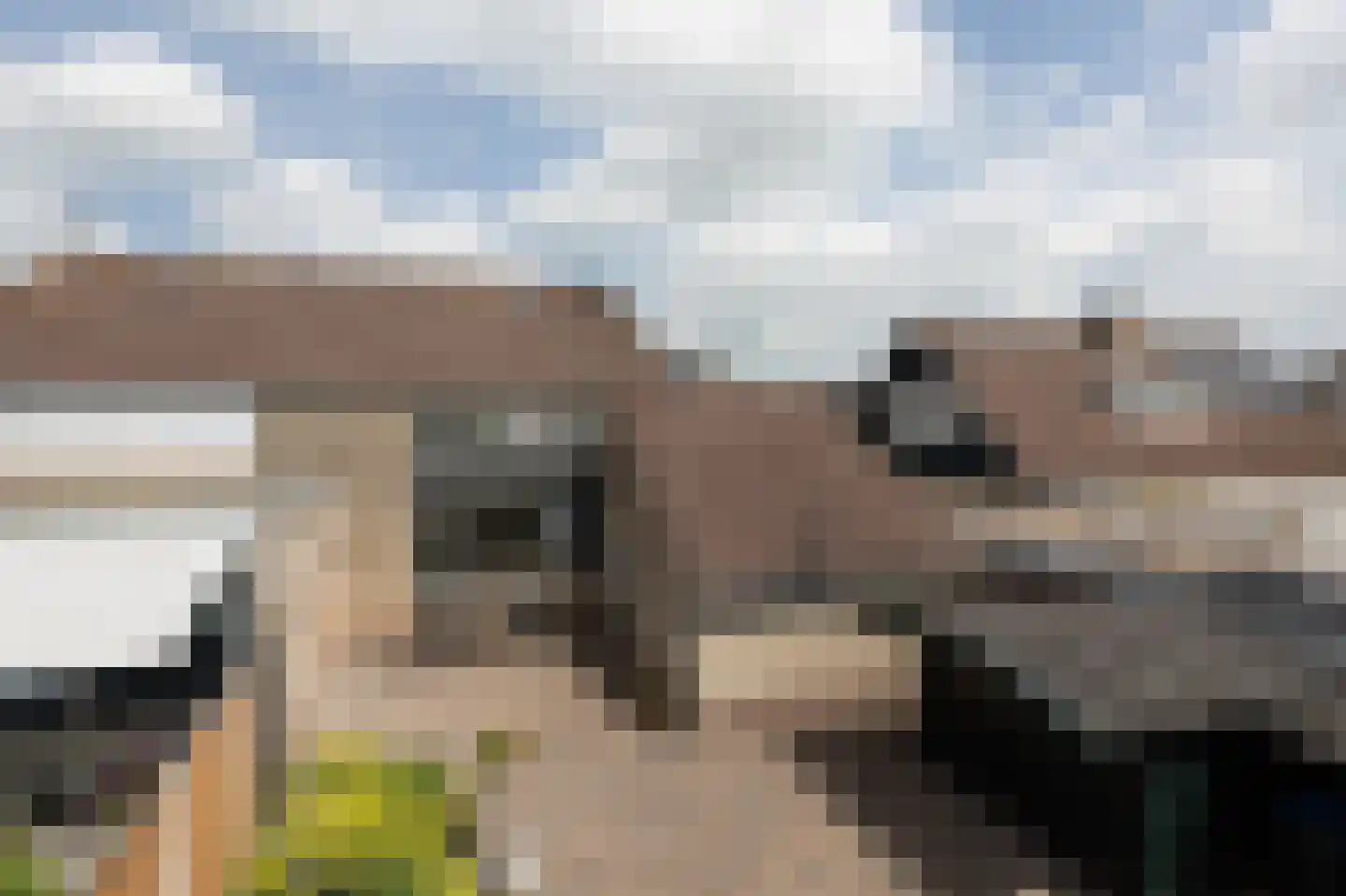 De Tillen 4 Bolsward thumbnail 36
