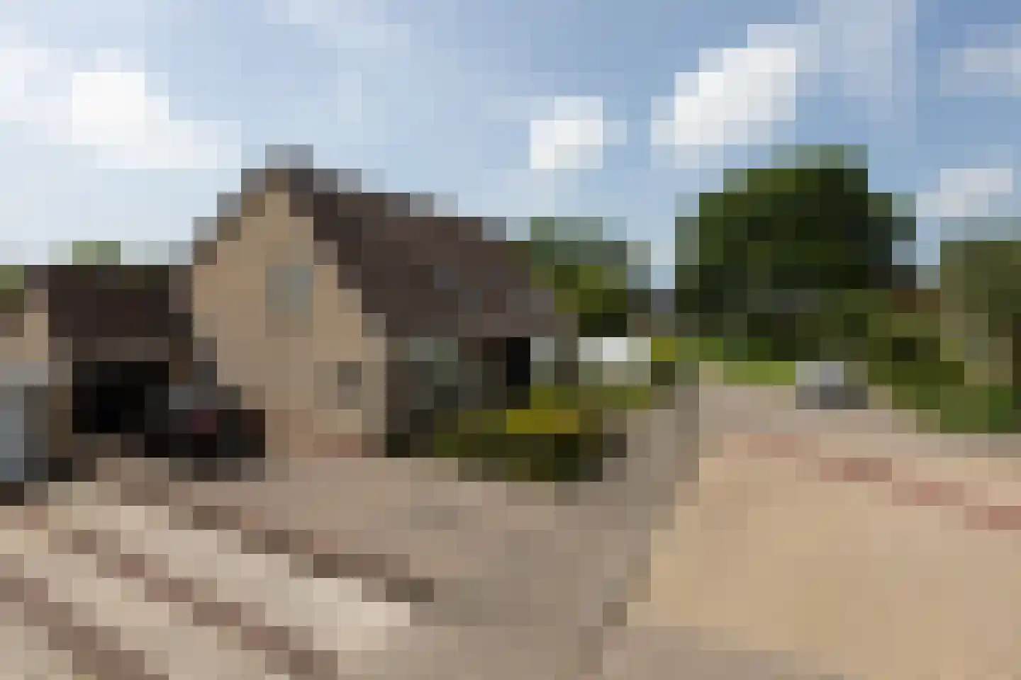 De Tillen 4 Bolsward thumbnail 40