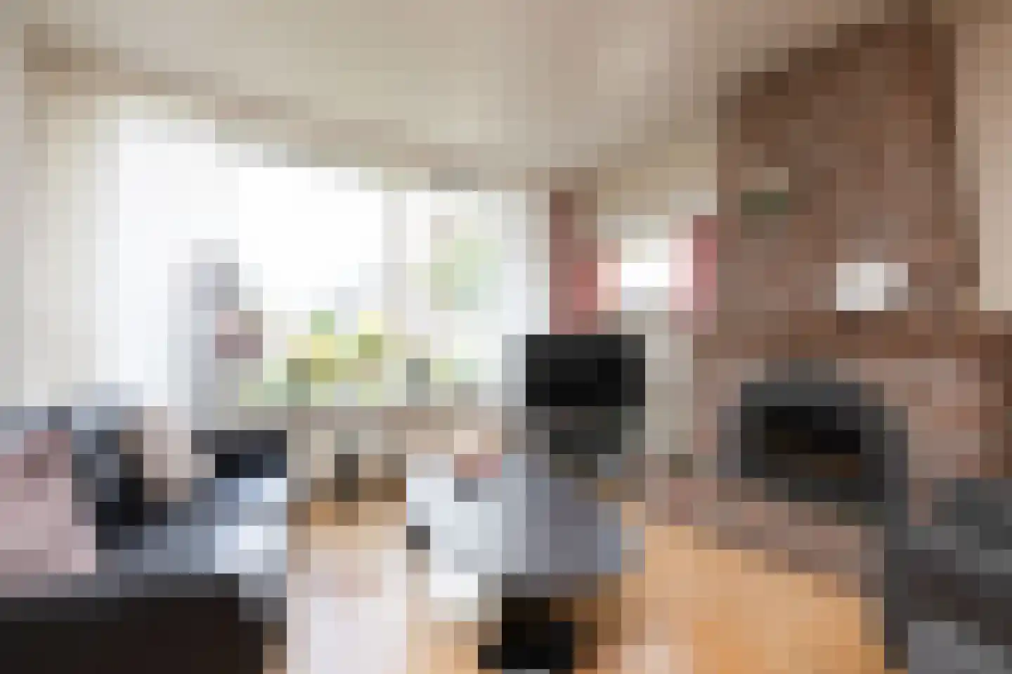 De Tillen 4 Bolsward thumbnail 6