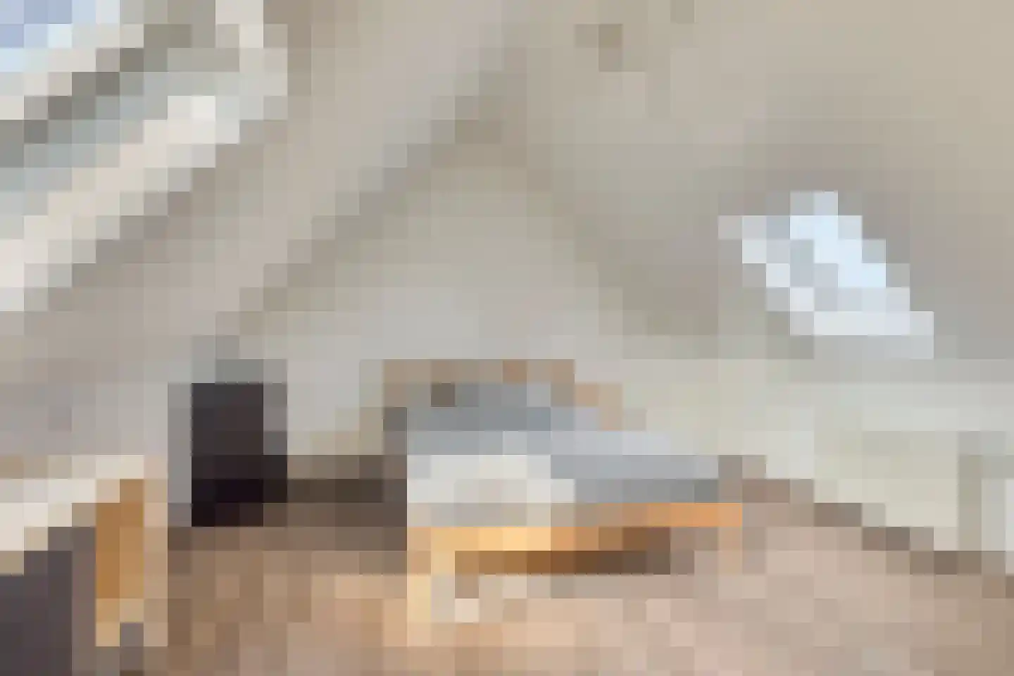 de Timp 11 Bemmel thumbnail 32