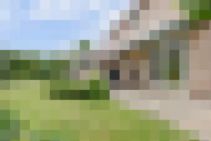 de Timp 7 Bemmel thumbnail 15