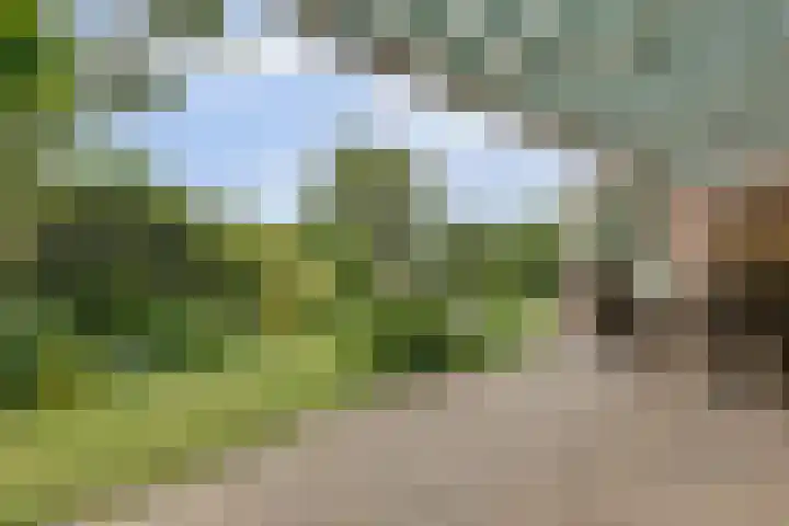 de Timp 7 Bemmel thumbnail 16