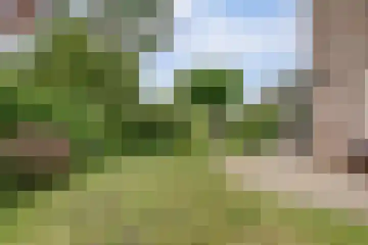 de Timp 7 Bemmel thumbnail 18