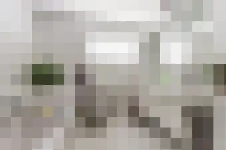 de Timp 7 Bemmel thumbnail 23