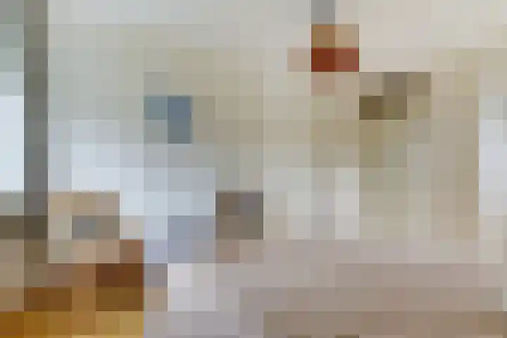 de Timp 7 Bemmel thumbnail 25