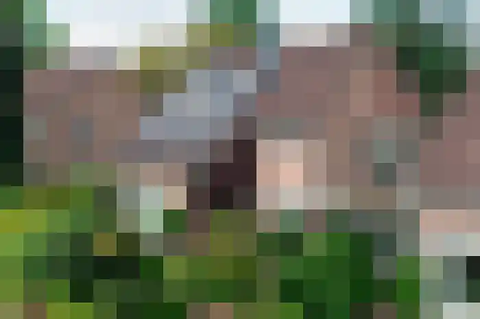 de Timp 7 Bemmel thumbnail 30