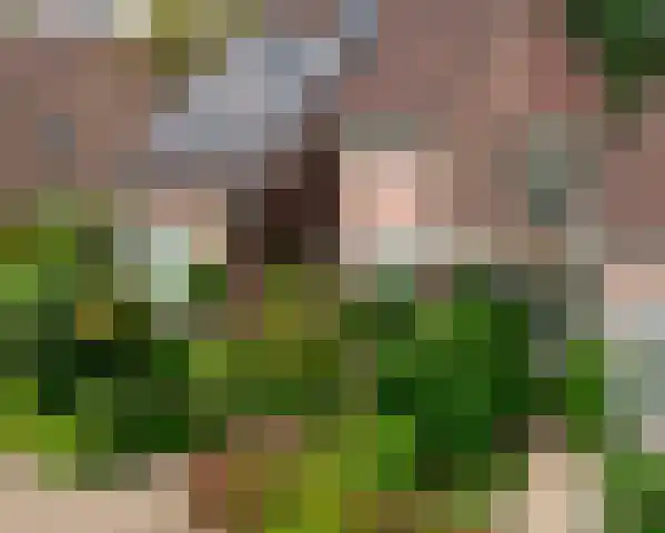 de Timp 7 Bemmel thumbnail 31