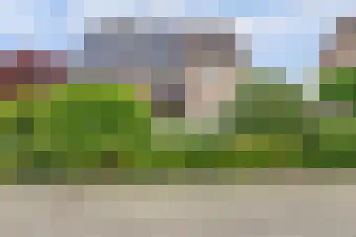 de Timp 7 Bemmel thumbnail 32
