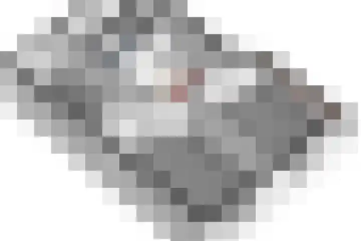 de Timp 7 Bemmel thumbnail 37