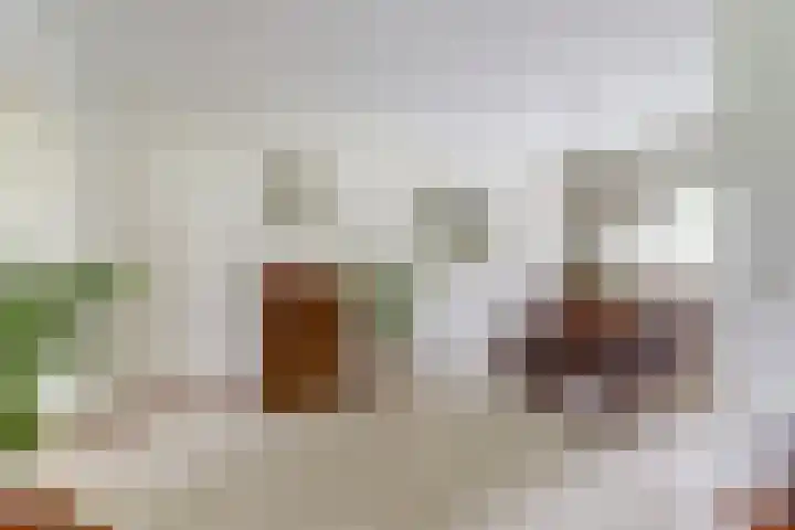 de Timp 7 Bemmel thumbnail 7