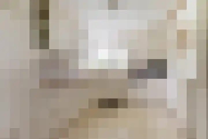 de Timp 7 Bemmel thumbnail 8