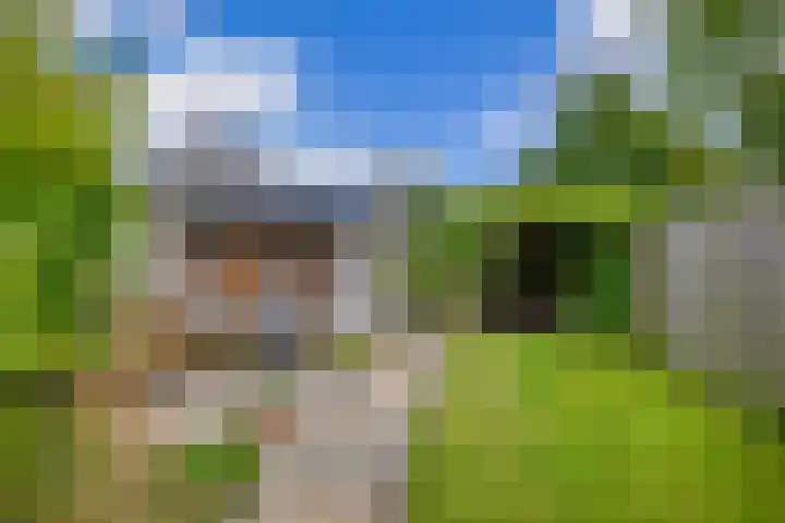 De Timpe 18 Balk foto 2