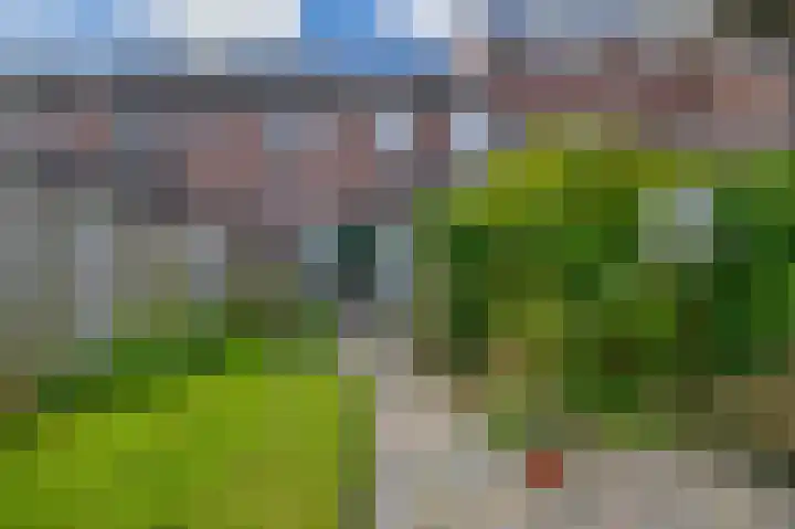 De Timpe 18 Balk thumbnail 26