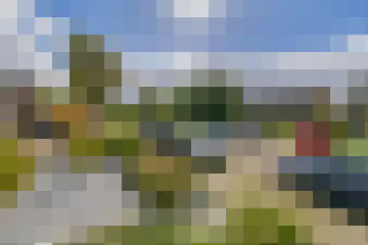 De Timpe 18 Balk thumbnail 30