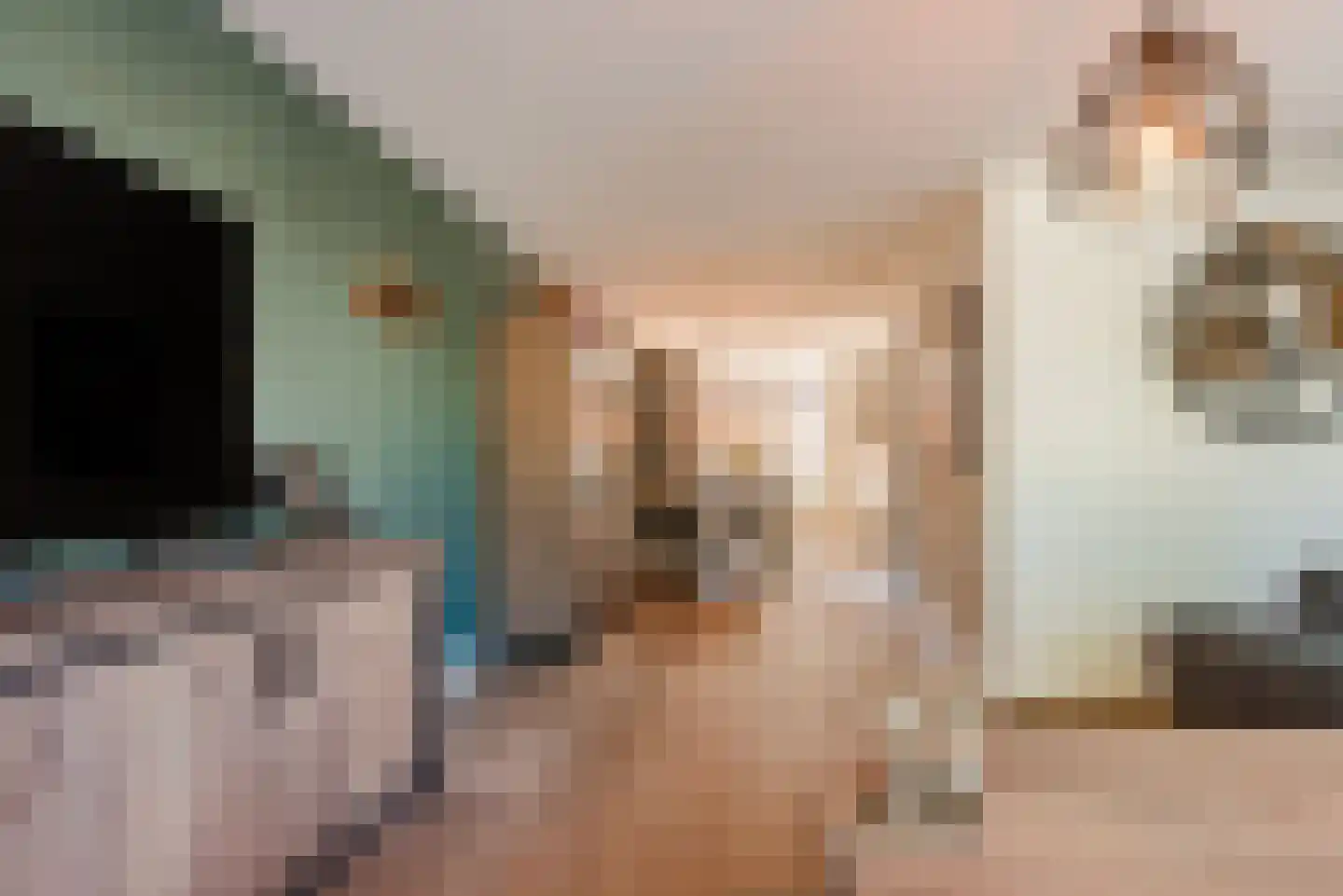 de Tinnegieter 19 Heeze thumbnail 16