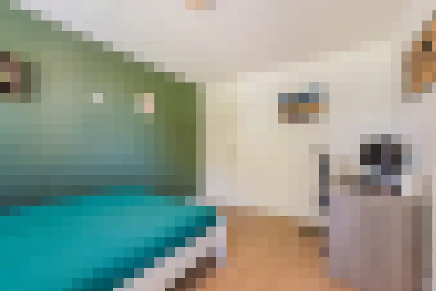 de Tinnegieter 19 Heeze thumbnail 25