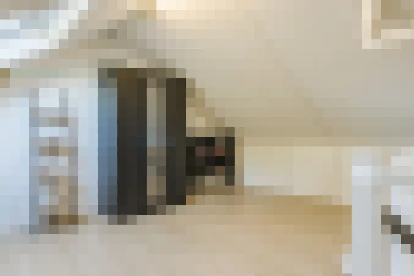 de Tinnegieter 19 Heeze thumbnail 29