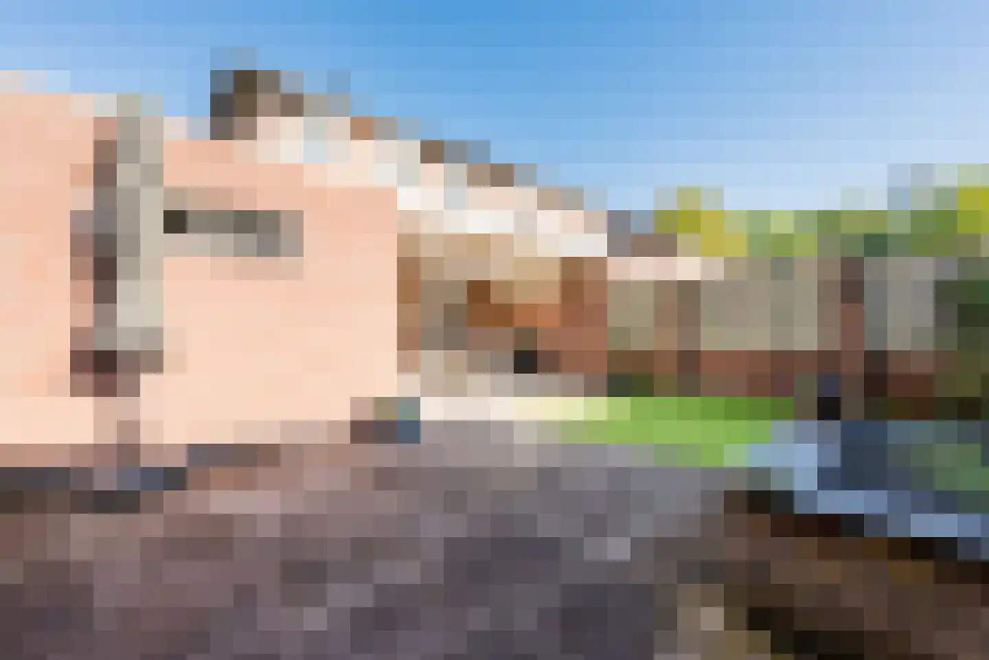 de Tinnegieter 19 Heeze thumbnail 31
