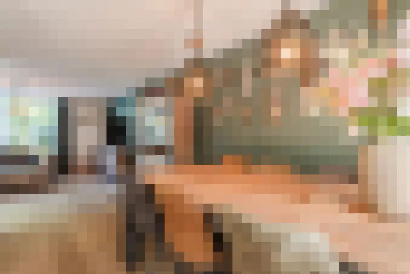 de Tinnegieter 19 Heeze thumbnail 6