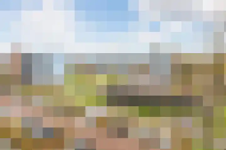 De Tinneweide 100 Veenendaal thumbnail 21