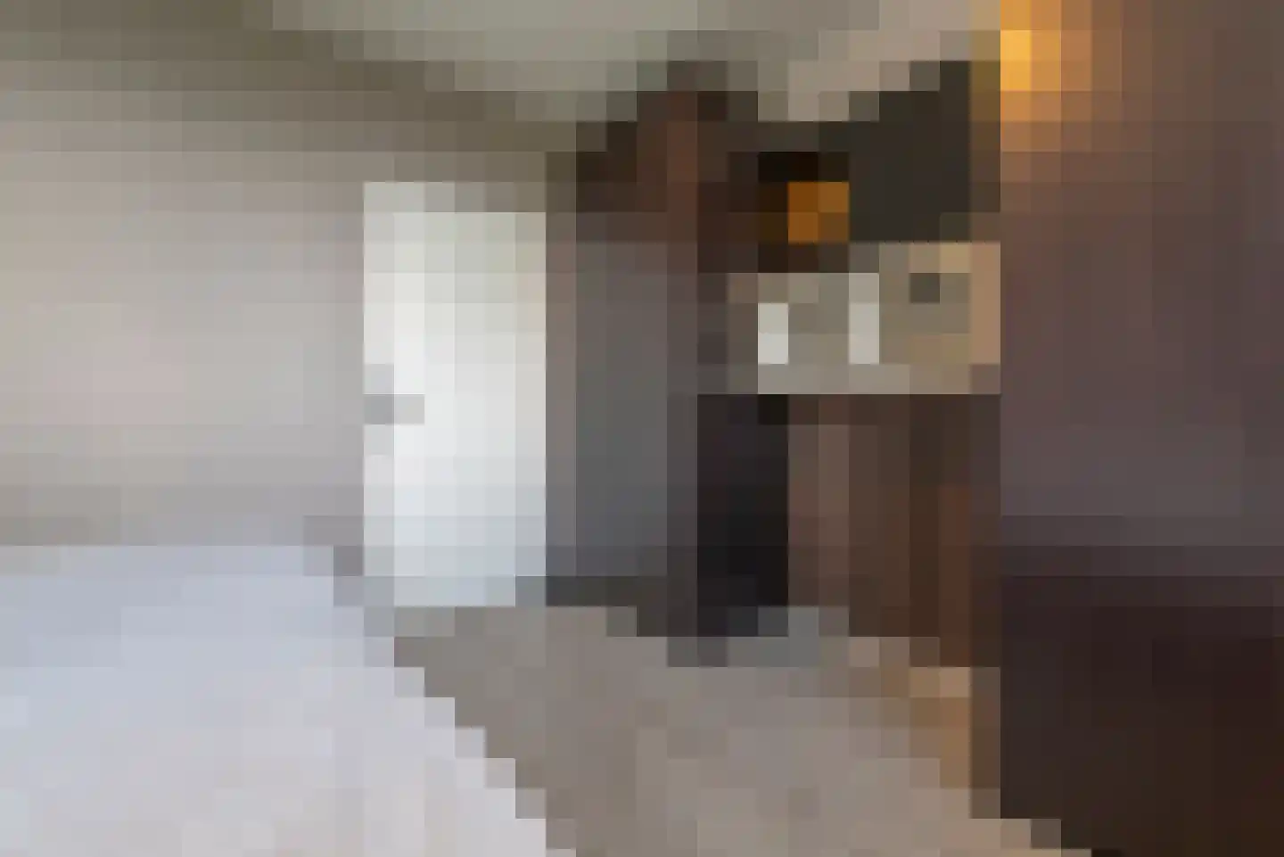 De Tinneweide 114 Veenendaal thumbnail 19