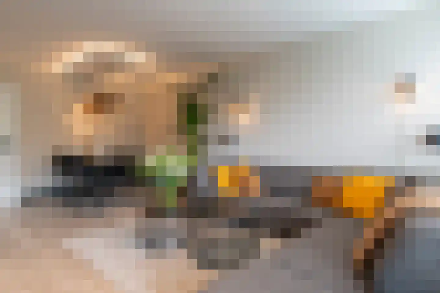 De Tinneweide 114 Veenendaal thumbnail 4