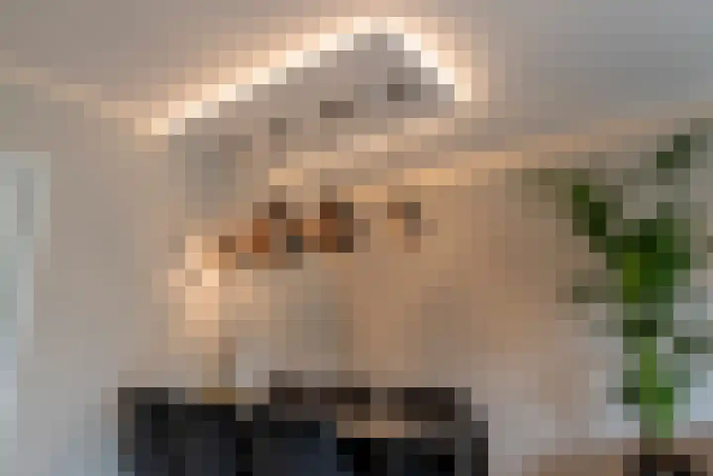 De Tinneweide 114 Veenendaal thumbnail 8