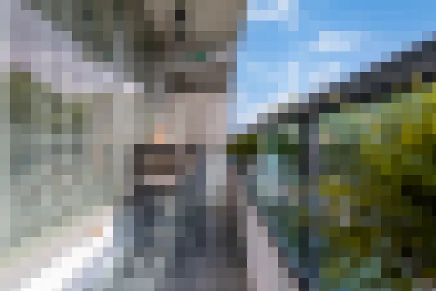 De Tinneweide 114 Veenendaal thumbnail 9