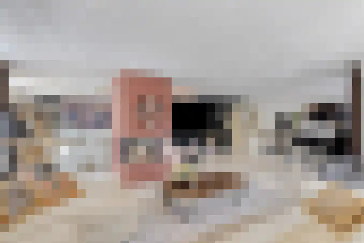 De Tinneweide 139 Veenendaal thumbnail 12