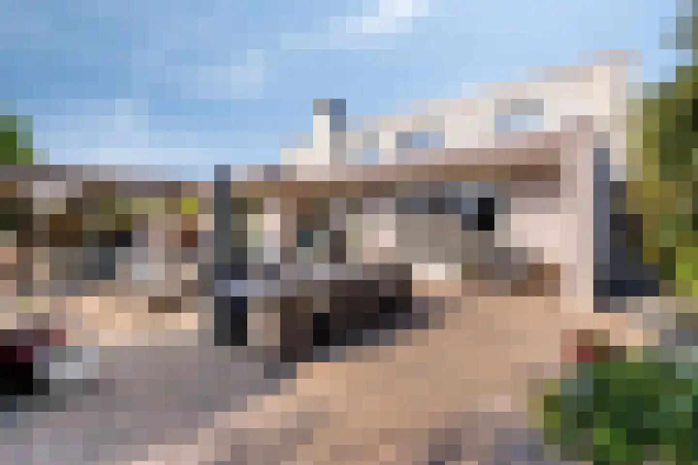 De Tinneweide 139 Veenendaal thumbnail 57
