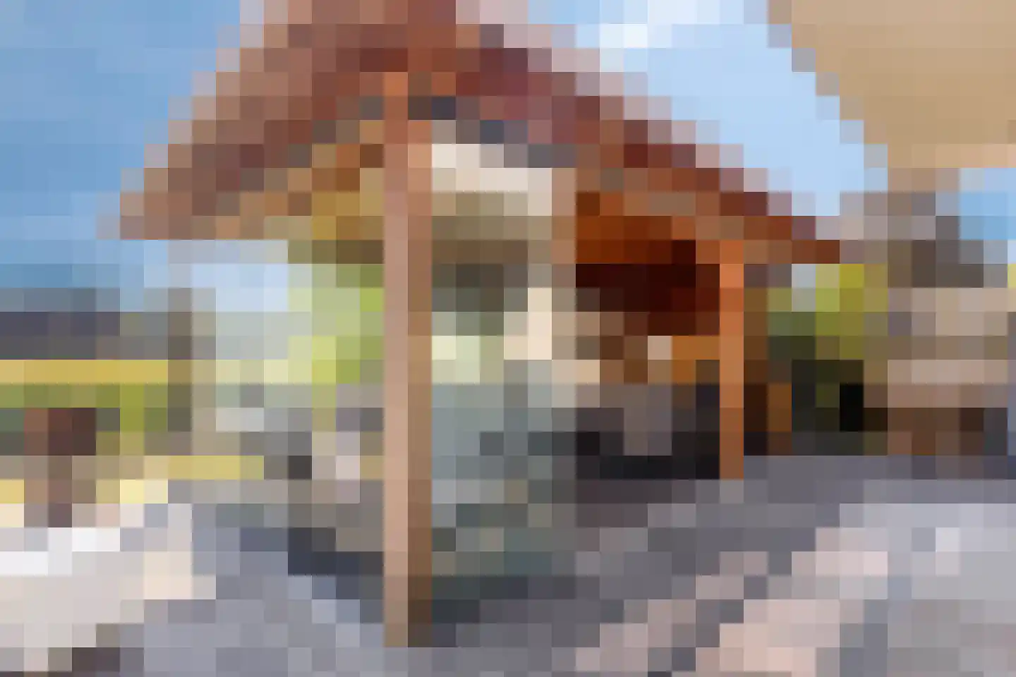 De Tinneweide 139 Veenendaal thumbnail 61