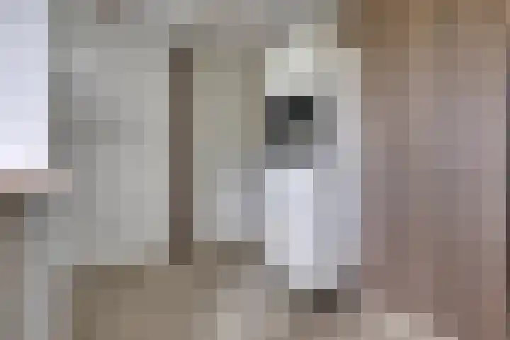 De Tinneweide 26 Veenendaal thumbnail 12
