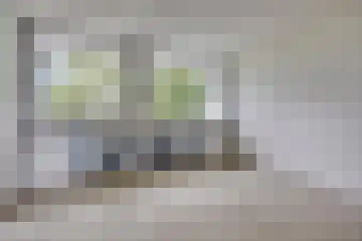 De Tinneweide 26 Veenendaal thumbnail 13