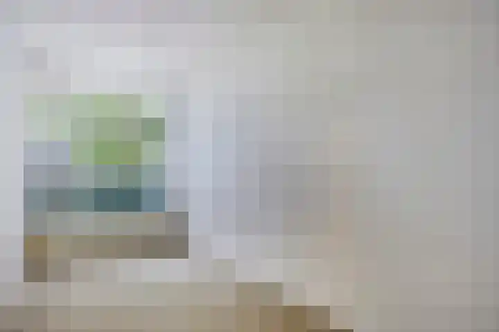 De Tinneweide 26 Veenendaal thumbnail 15